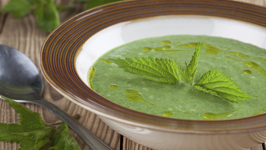 Feed sting nettle soup