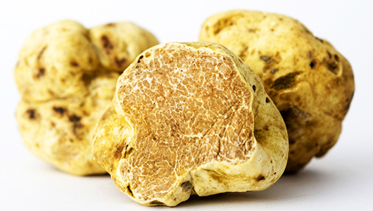 Feed white truffle