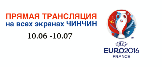 Feed euro 2016 logo fotor