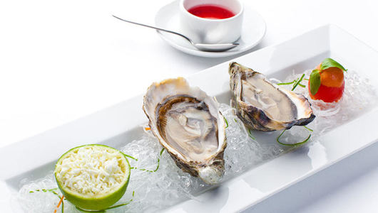 Feed oyster turandot