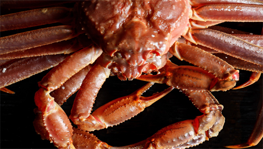 Feed 1j0a4935 