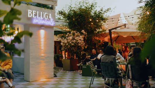 Feed yauza beluga bar      