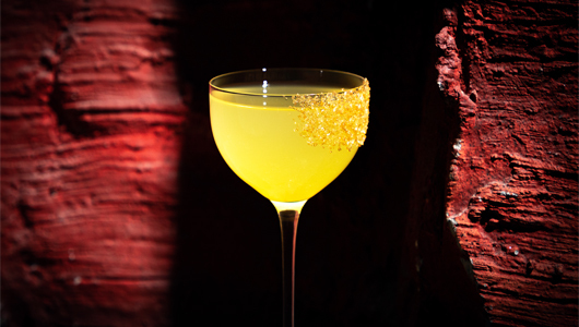 Feed sapiens frida kalo    