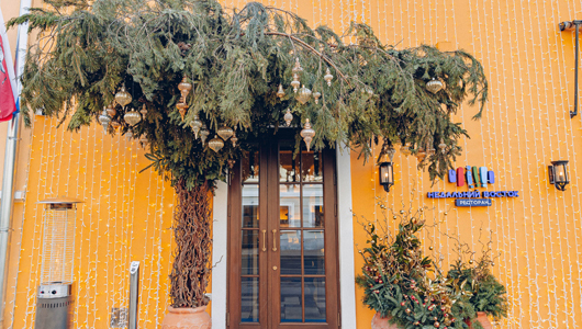 Feed                                        22       