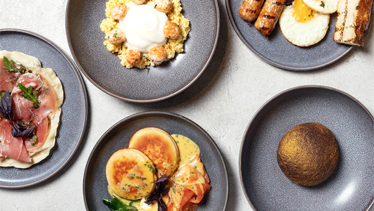 Feed  sapiens breakfest winter 2026