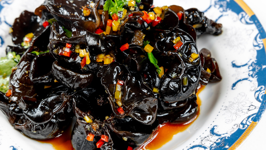 Feed                            mr.lee      