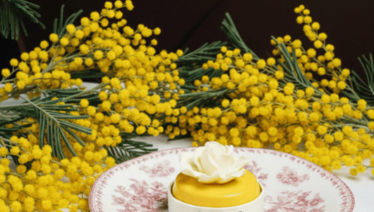 Feed        spring bloom 2