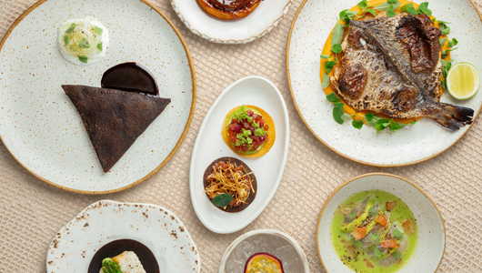 Feed                       2026  1       