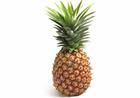 Thumb polza ananasa